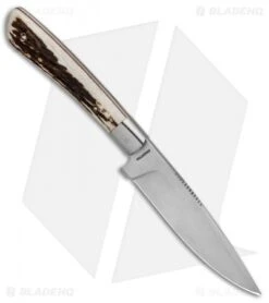 Boker Arbolito Stag Steak Knife Dinner Set 03BA5717H (12 Piece Set) -BLADE HQ SHOP Boker Arbolito Stag Steak Knife Dinner Set 03BA5717H BHQ 85724 jr knife spine